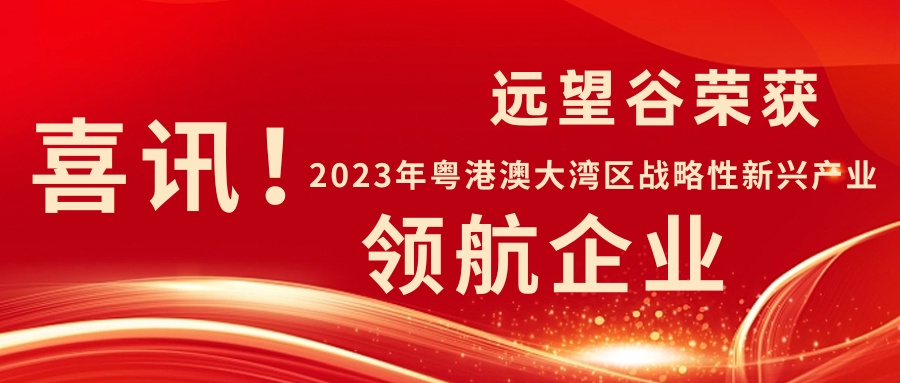 新年迎喜讯 | 远望谷荣获2023年粤港澳大湾区战略性新兴产业“领航企业”！